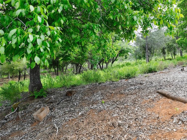 3218 Skyline Dr, Kelseyville, CA 95451 - photo 11