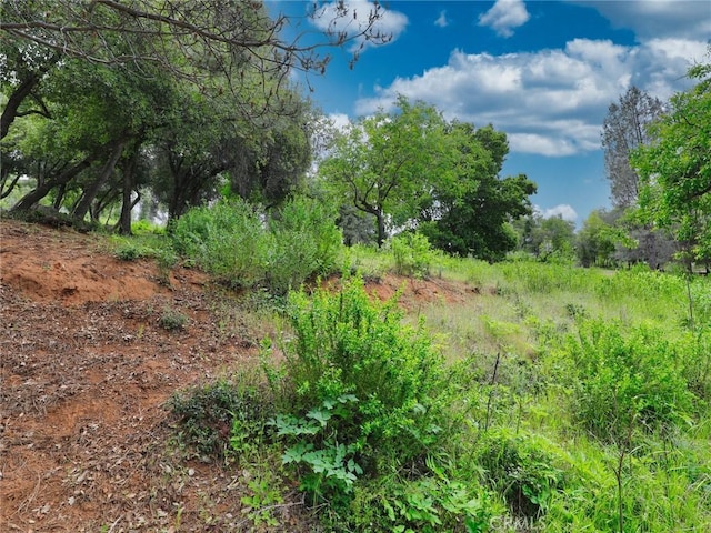 3218 Skyline Dr, Kelseyville, CA 95451 - photo 5