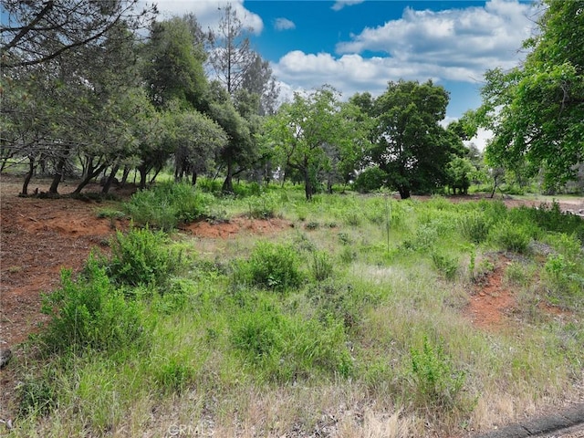 3218 Skyline Dr, Kelseyville, CA 95451 - photo 3