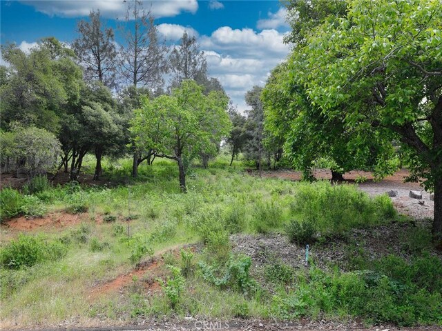3218 Skyline Dr, Kelseyville, CA 95451 - photo 2