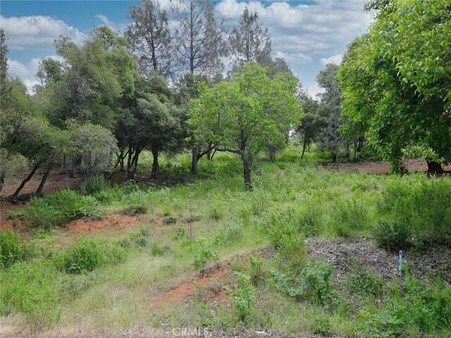 3218 Skyline Dr, Kelseyville, CA 95451 - photo 1