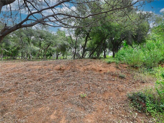 3218 Skyline Dr, Kelseyville, CA 95451 - photo 6