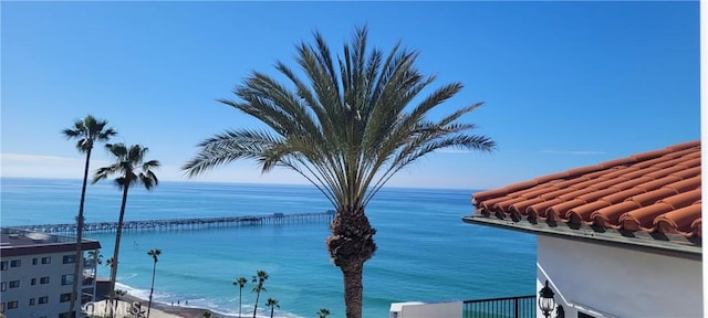 412 Arenoso Ln Unit 403, San Clemente, CA 92672 - photo 17