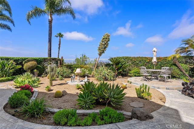 29206 Alfieri St, Laguna Niguel, CA 92677 - view of yard with a patio area