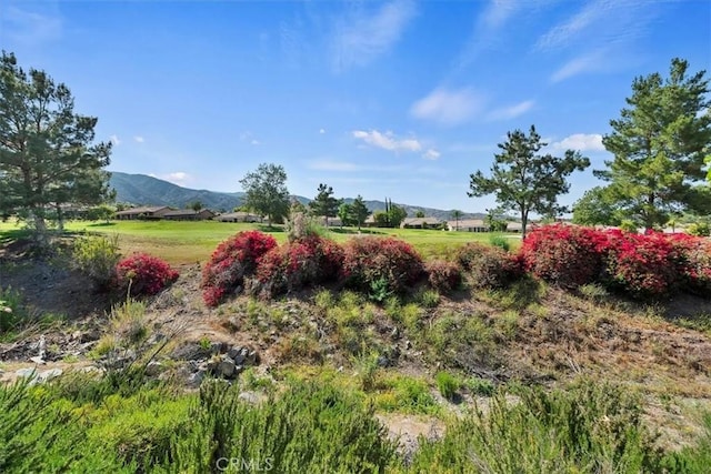 24271 Whitetail Dr, Corona, CA 92883 - view of yard featuring a mountain view and a view of rural / pastoral area