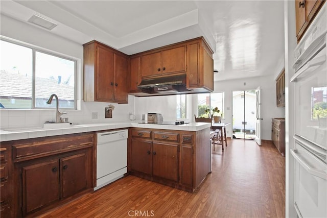 1247 W 17th St, San Pedro, CA 90731 - kitchen featuring white dishwasher, a sink, wood finished floors, under cabinet range hood, and healthy amount of natural light