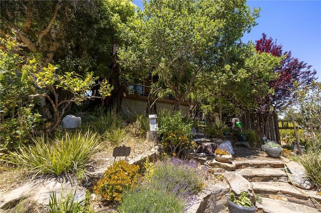 1760 Stuart St, Cambria, CA 93428 - view of yard