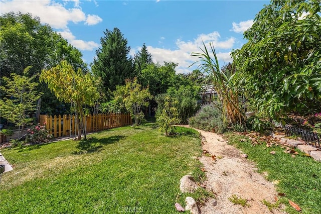 5121 E Lomita Ave, Orange, CA 92869 - view of yard