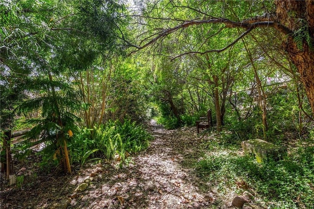5121 E Lomita Ave, Orange, CA 92869 - view of wooded area
