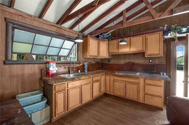 5121 E Lomita Ave, Orange, CA 92869 - kitchen featuring a sink, wooden walls, dark wood-style floors, healthy amount of natural light, and hanging light fixtures