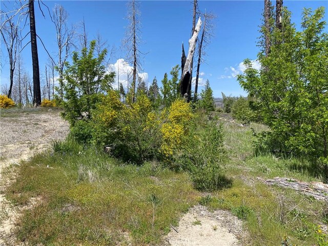 1103 Bald Rock Rd, Berry Creek, CA 95916