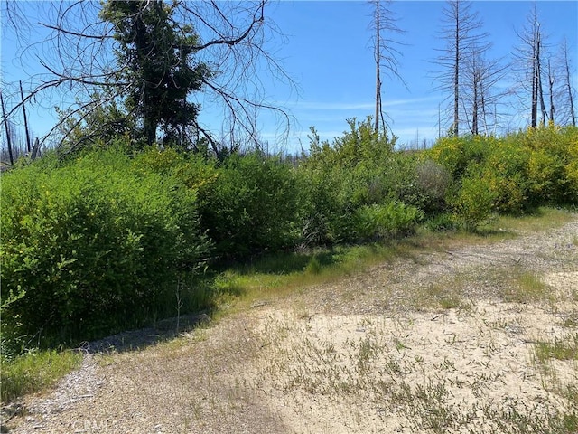 1103 Bald Rock Rd, Berry Creek, CA 95916