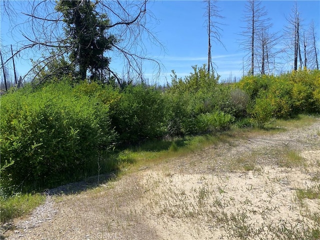 1103 Bald Rock Rd, Berry Creek, CA 95916
