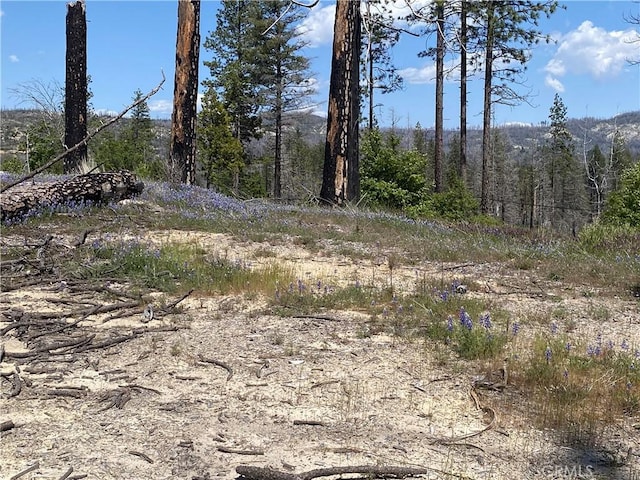 1103 Bald Rock Rd, Berry Creek, CA 95916