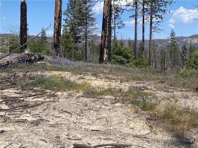 1103 Bald Rock Rd, Berry Creek, CA 95916