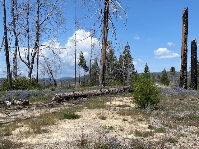 1103 Bald Rock Rd, Berry Creek, CA 95916