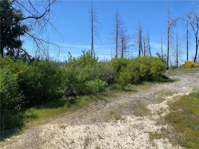 1103 Bald Rock Rd, Berry Creek, CA 95916