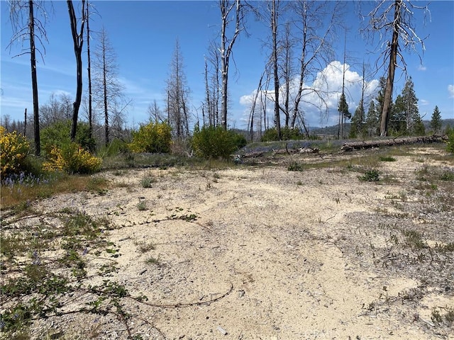 1103 Bald Rock Rd, Berry Creek, CA 95916