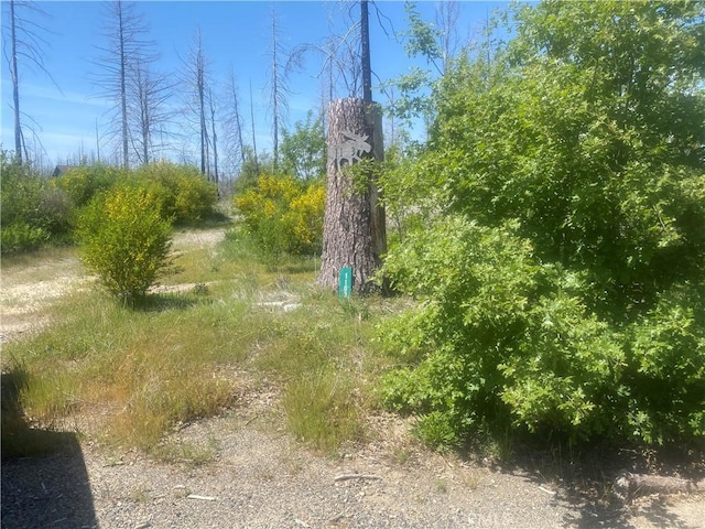 1103 Bald Rock Rd, Berry Creek, CA 95916