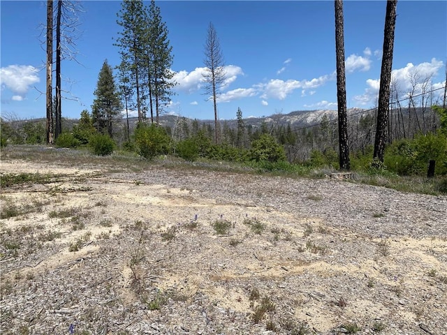 1103 Bald Rock Rd, Berry Creek, CA 95916