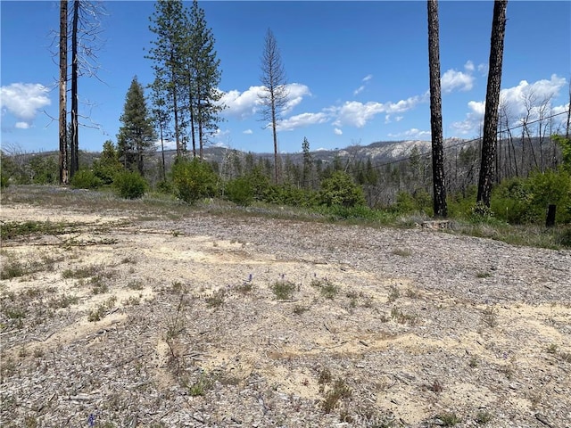 1103 Bald Rock Rd, Berry Creek, CA 95916
