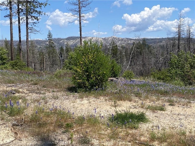 1103 Bald Rock Rd, Berry Creek, CA 95916