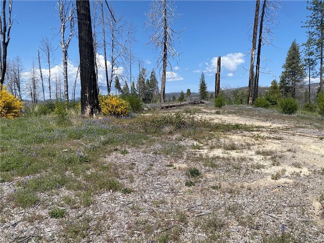 1103 Bald Rock Rd, Berry Creek, CA 95916