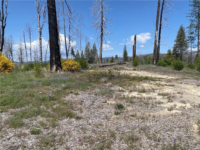 1103 Bald Rock Rd, Berry Creek, CA 95916