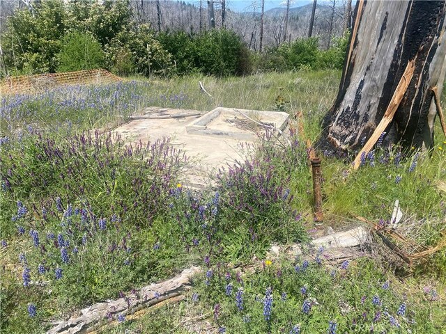 1103 Bald Rock Rd, Berry Creek, CA 95916