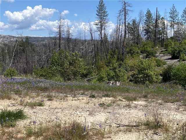 1103 Bald Rock Rd, Berry Creek, CA 95916