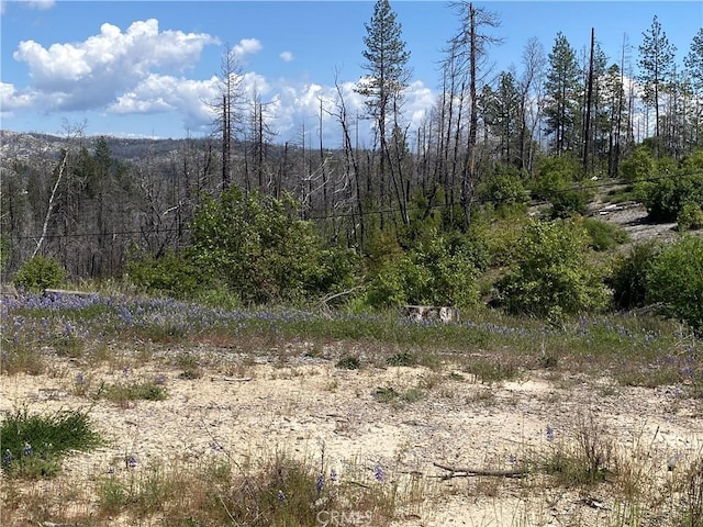 1103 Bald Rock Rd, Berry Creek, CA 95916
