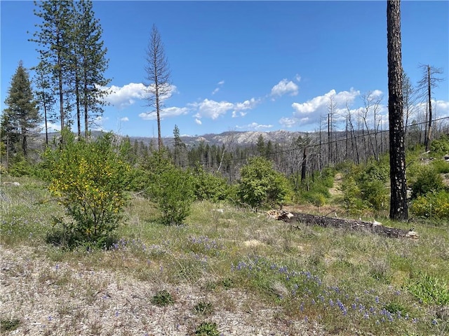 1103 Bald Rock Rd, Berry Creek, CA 95916