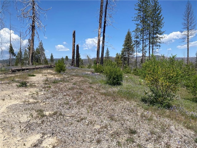 1103 Bald Rock Rd, Berry Creek, CA 95916
