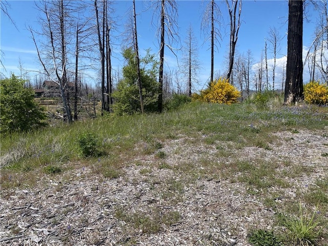 1103 Bald Rock Rd, Berry Creek, CA 95916