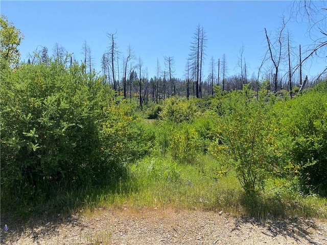 1103 Bald Rock Rd, Berry Creek, CA 95916