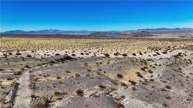 75777 Riverside Rd, Newberry Springs, CA 92365