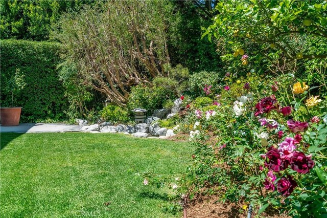 48 Via Porto Grande, Rancho Palos Verdes, CA 90275 - view of green lawn