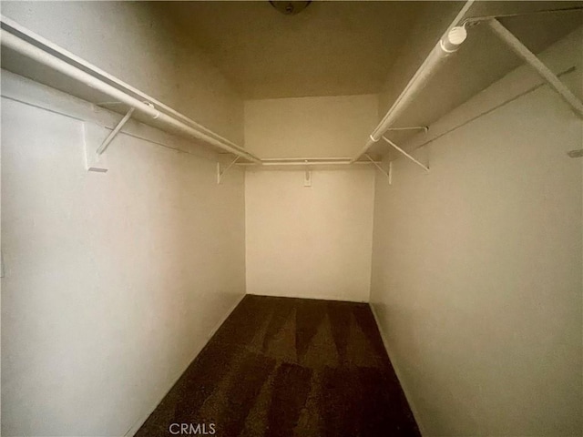1305 Herzel Ave, Lancaster, CA 93535 - view of walk in closet
