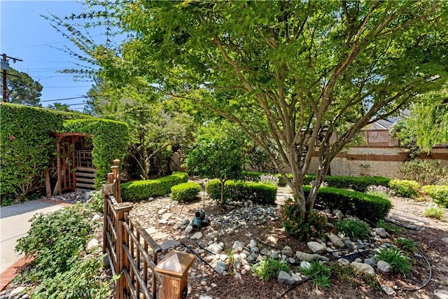 2042 E Crary St, Pasadena, CA 91104 - view of yard