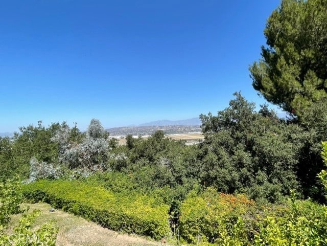 22809 Chardonnay Dr Unit 2, Diamond Bar, CA 91765 - view of mountain background