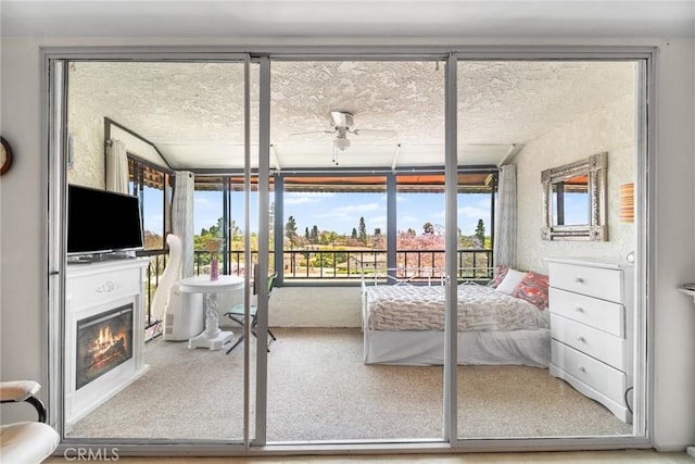 4505 California Ave Unit 506, Long Beach, CA 90807 - view of sunroom / solarium