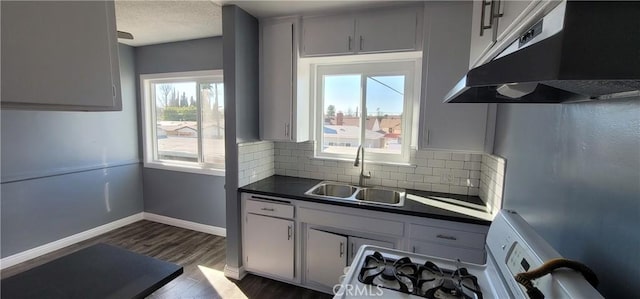 7107 Coldwater Canyon Ave, North Hollywood, CA 91605 - kitchen with under cabinet range hood, a sink, dark countertops, gas stove, and backsplash