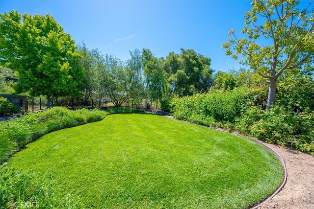 280 Tally Ho Rd, Arroyo Grande, CA 93420 - view of green lawn