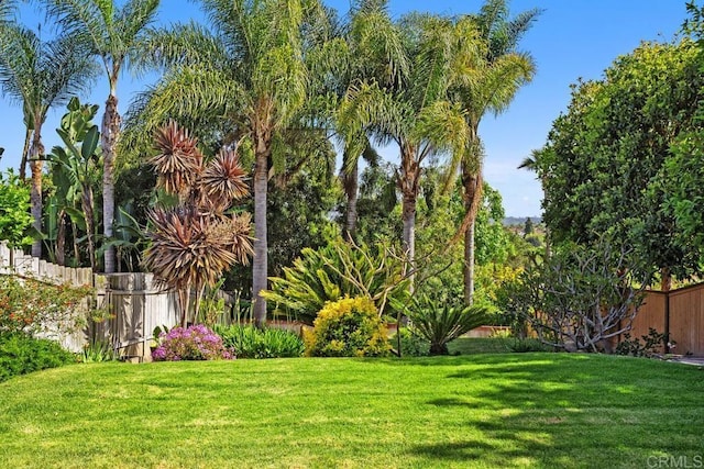 2345 Levante St, Carlsbad, CA 92009 - view of yard
