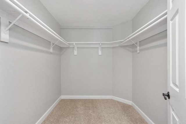 2345 Levante St, Carlsbad, CA 92009 - spacious closet with carpet flooring