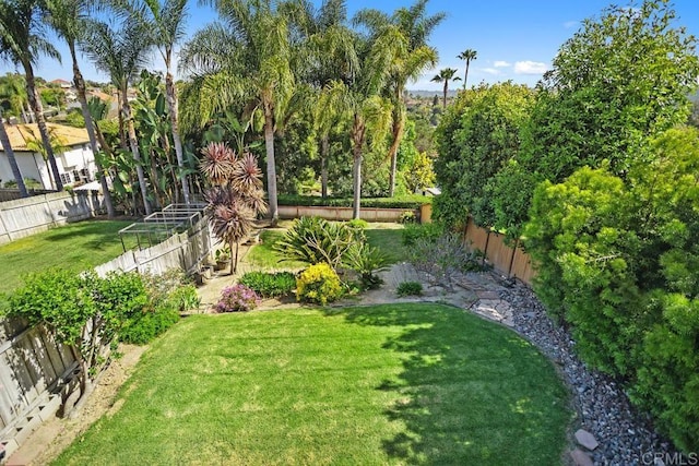 2345 Levante St, Carlsbad, CA 92009 - view of yard