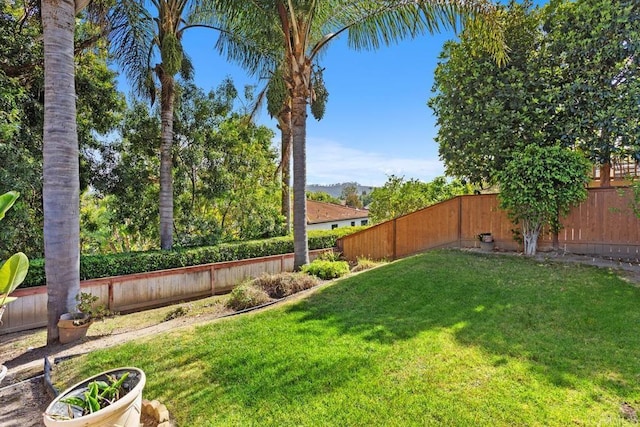 2345 Levante St, Carlsbad, CA 92009 - view of yard