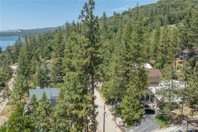 37731 Shoreline Dr, Bass Lake, CA 93604 - drone / aerial view of a forest and a large body of water