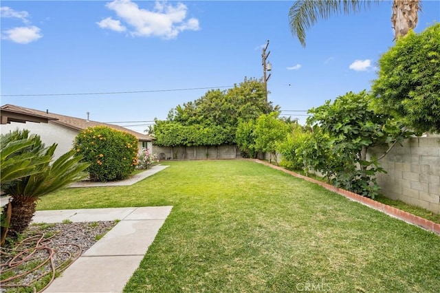 8426 Orange St, Downey, CA 90242 - view of fenced backyard