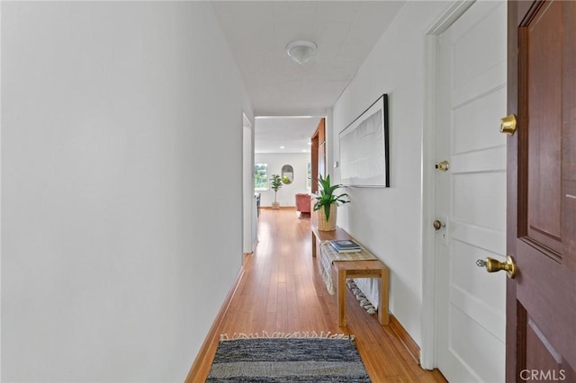 745 Crane Blvd, Los Angeles, CA 90065 - hallway with light wood-style flooring and baseboards